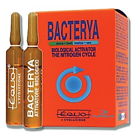 Equo Bacterya ( Bakteri Kültürü ) 24 lü