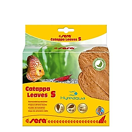 Sera Catappa Yaprağı S 14 cm - 10 adet