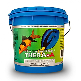 New Life Spectrum Thera A Sarımsaklı 50 gr Kovadan Bölme