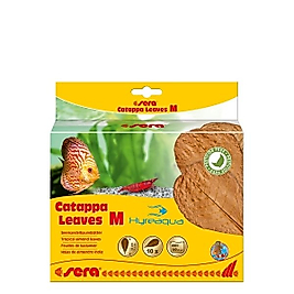 Sera Catappa Yaprağı M 18 cm - 10 adet