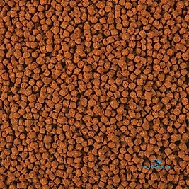 Omega One Cichlid Select Pellets 100 Gr Kovadan Bölme Balık Yemi