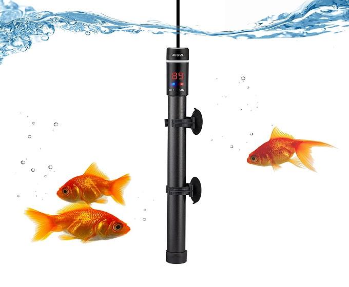 Akvaryum Balıkları İçin Su Sıcaklığının Önemi