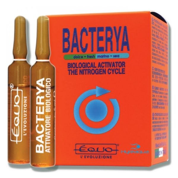 Equo Bacterya ( Bakteri Kültürü ) 6 lı