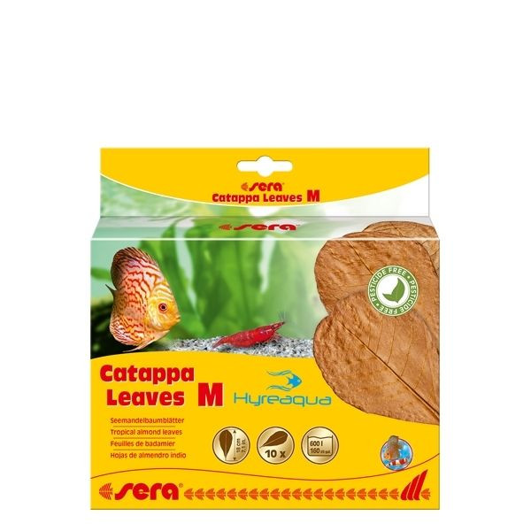 Sera Catappa Yaprağı M 18 cm - 10 adet