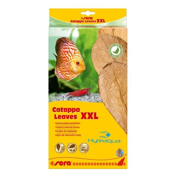 Sera Catappa Yaprağı XXL 32 cm - 10 adet