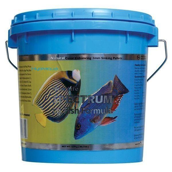 New Life Spectrum Large Fish Formula 100 gr Kovadan Bölme