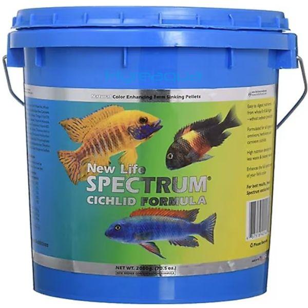 New Life Spectrum Cichlid Formula 100gr Kovadan Bölme
