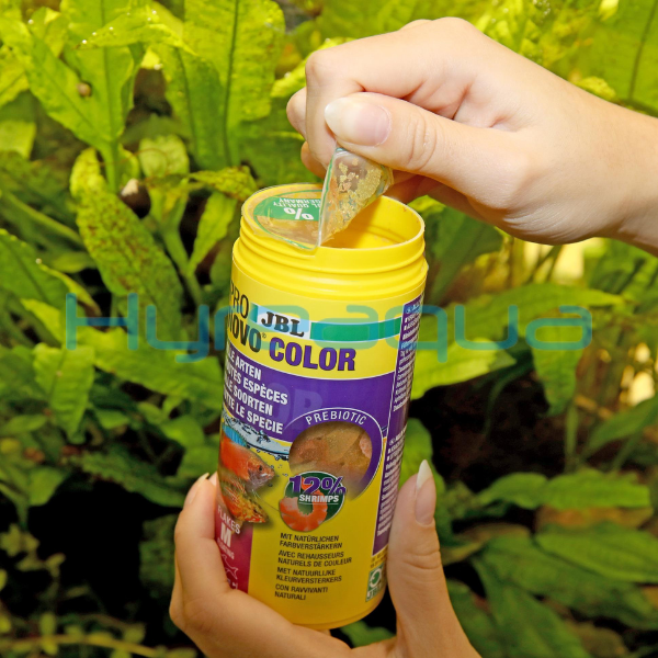 Jbl Pro Novo Color Flakes M 100 ml/ 18 Gr