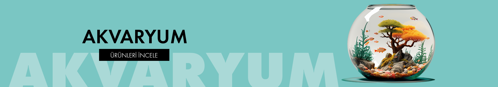 AKVARYUM